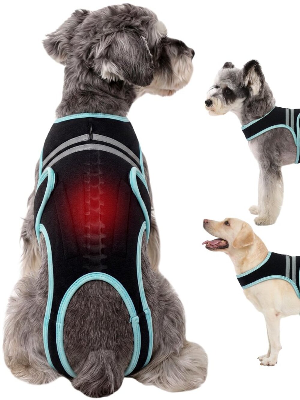 Dog Back Brace Black Medium N3014